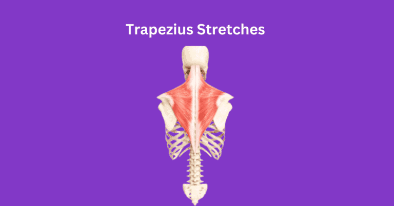 6 Best Trapezius Stretches: Loosen Tight Muscles Effectively