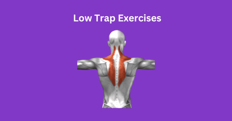 10 Best Low Trap Exercises: Build Strength & Stability